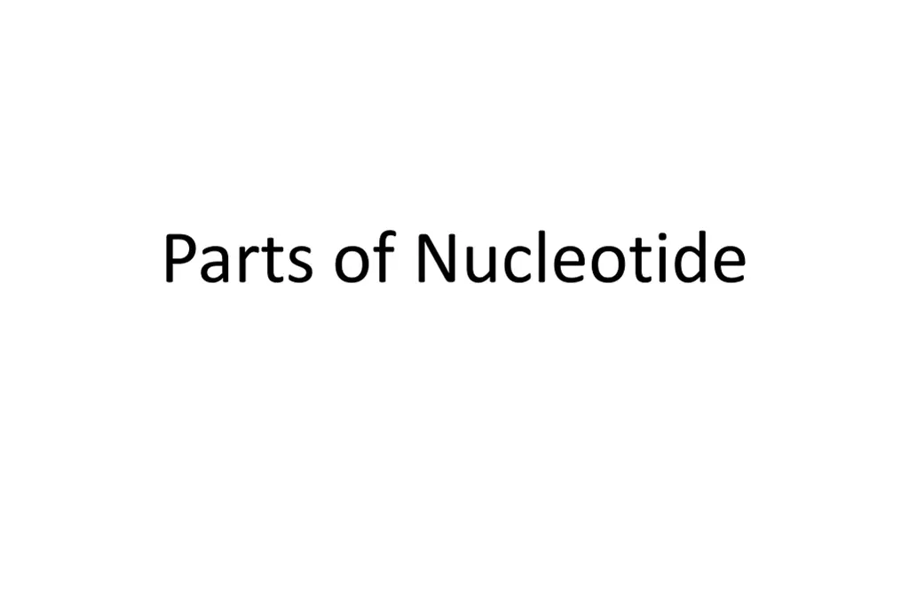 parts of nucleotide