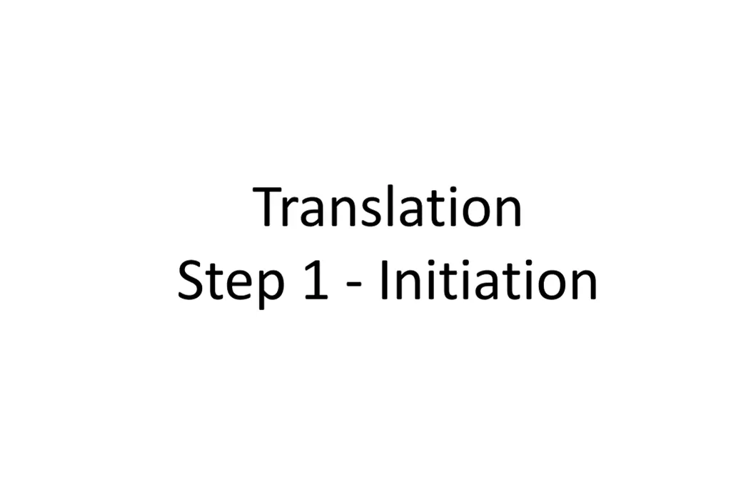 translation step 1 initiation