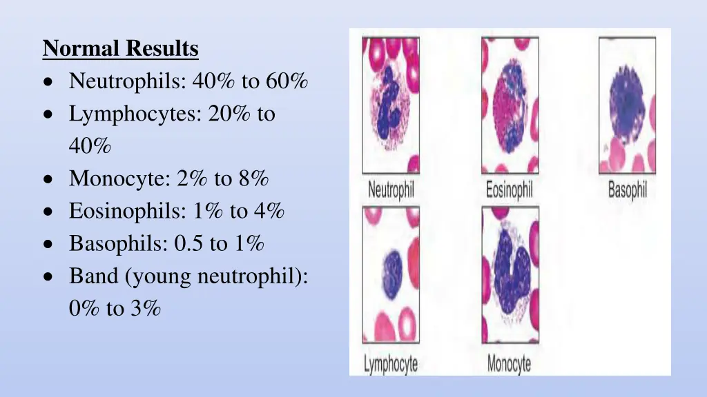 normal results neutrophils 40 to 60 lymphocytes
