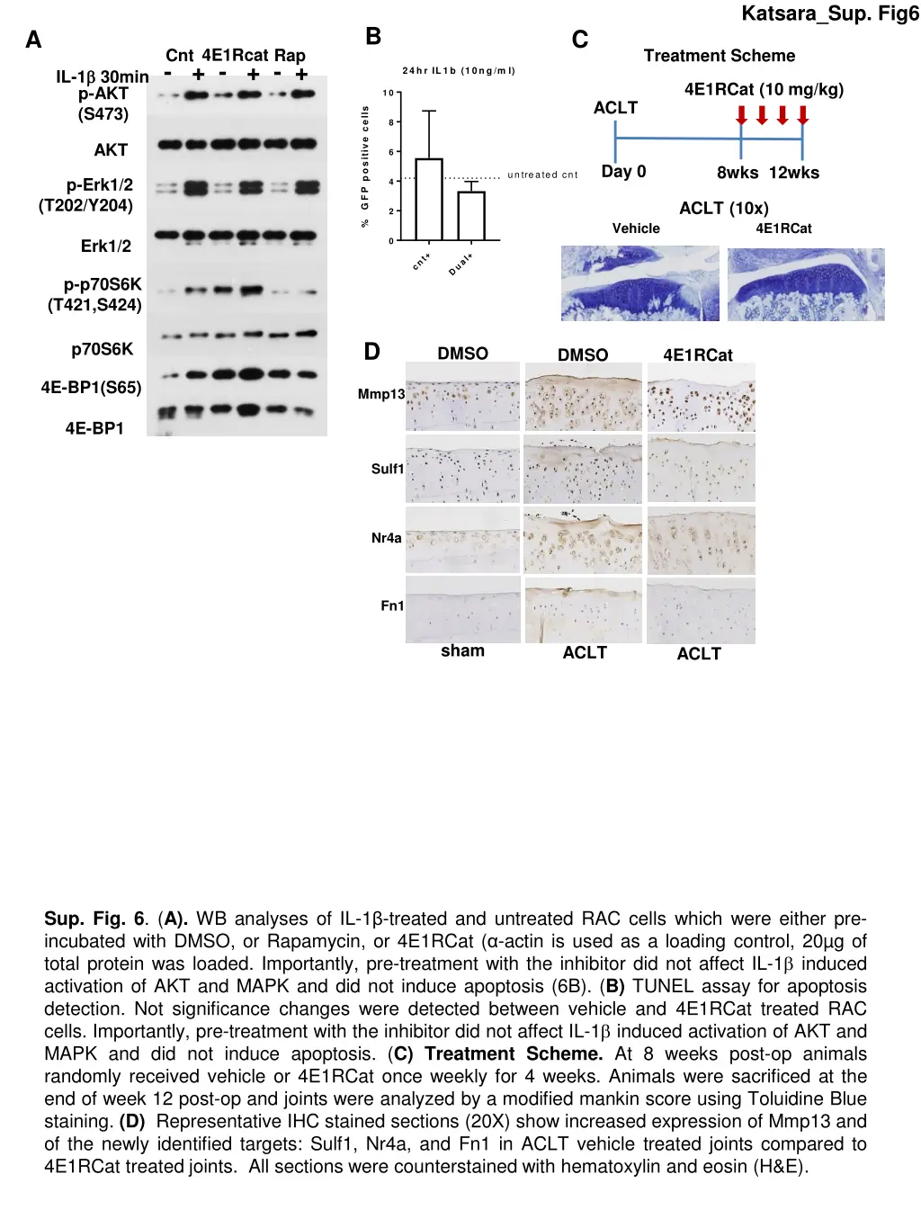 katsara sup fig6