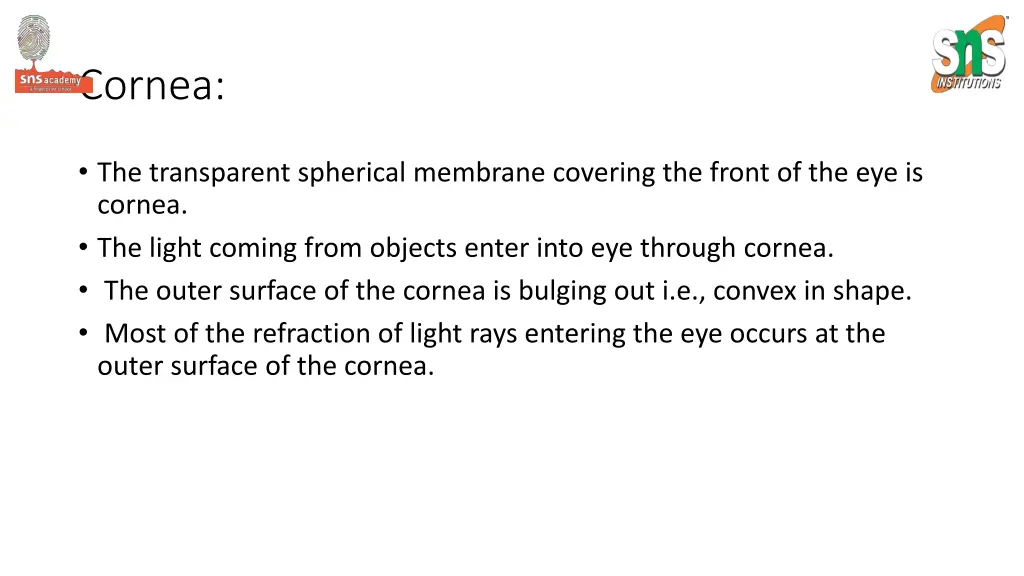 cornea