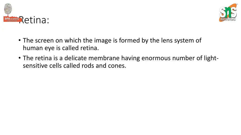 retina
