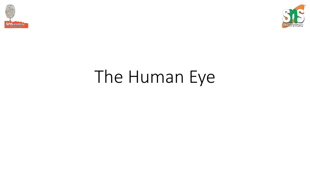 the human eye