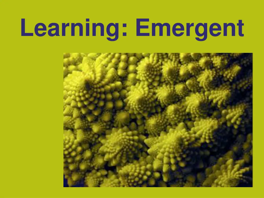 learning emergent