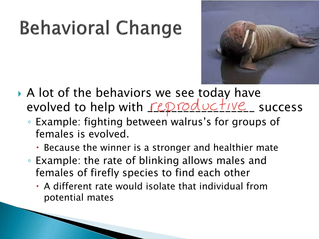 a lot of the behaviors we see today have evolved