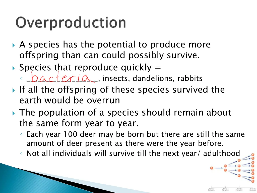 a species has the potential to produce more
