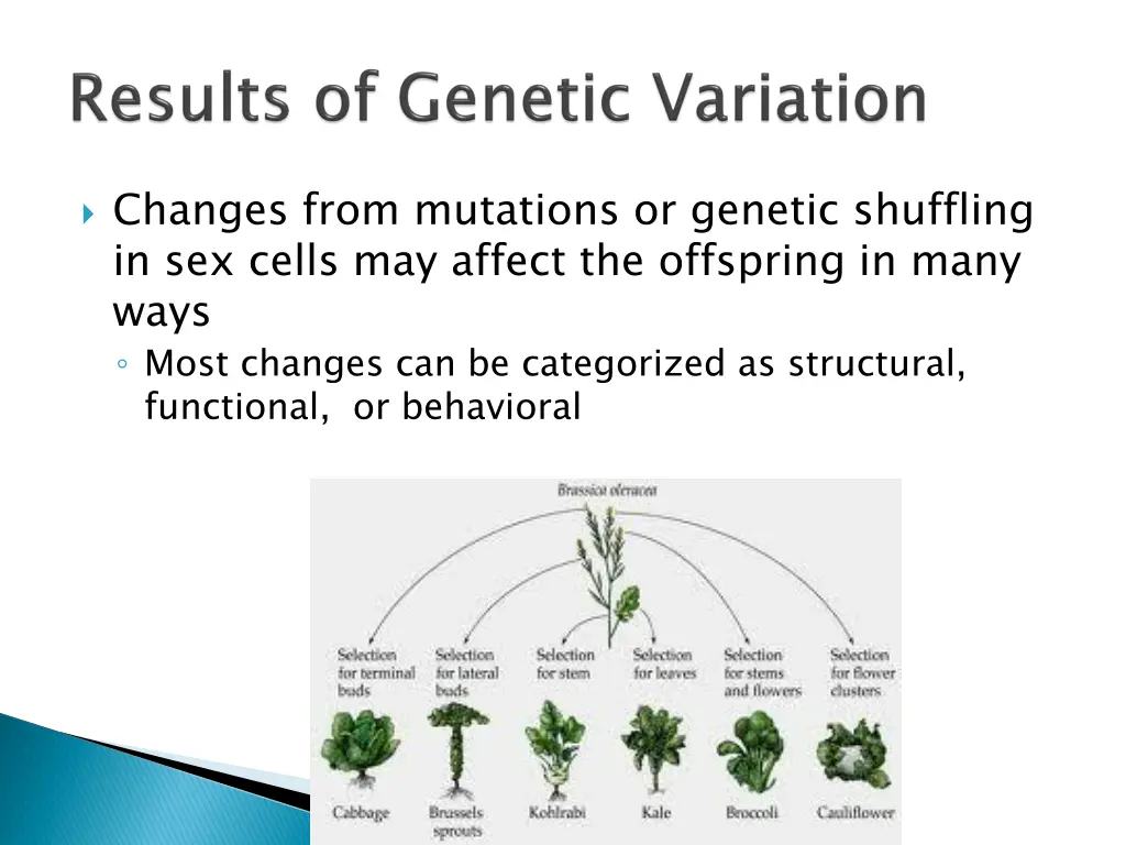 changes from mutations or genetic shuffling