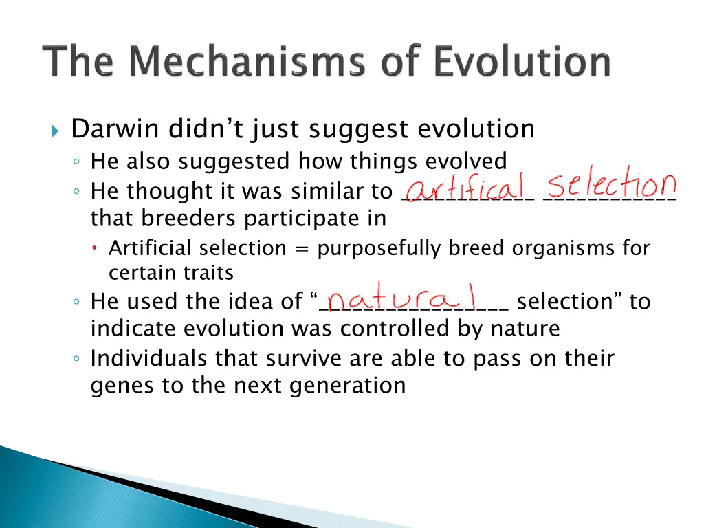 darwin didn t just suggest evolution he also