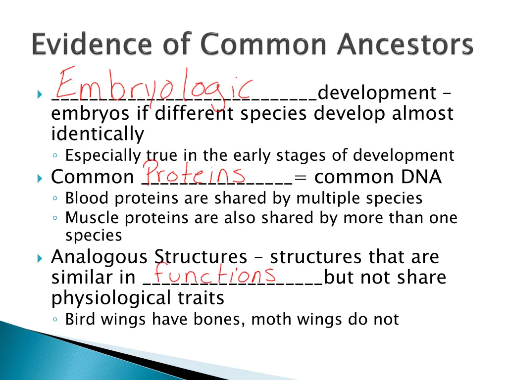 development embryos if different species develop