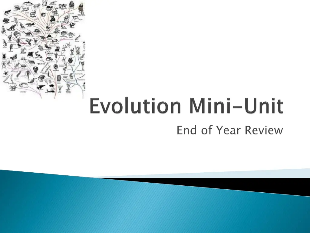 end of year review