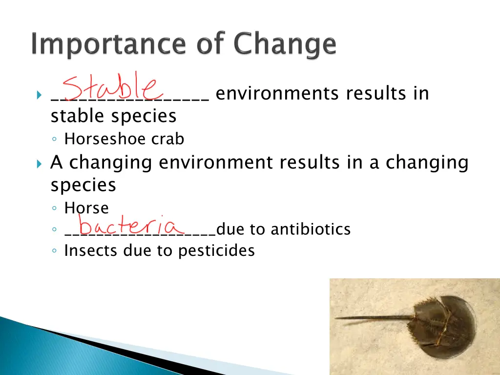 environments results in stable species horseshoe