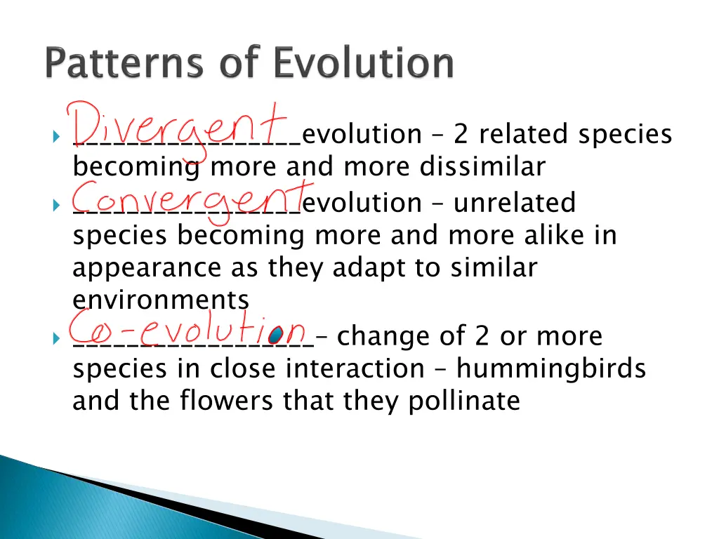 evolution 2 related species becoming more
