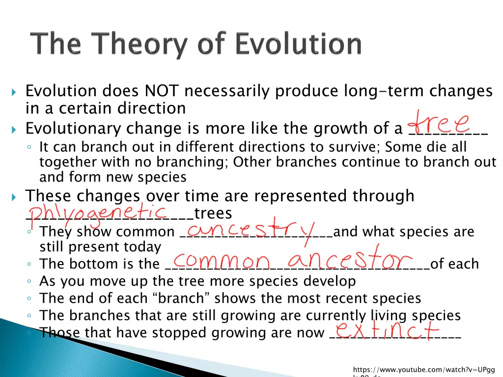 evolution does not necessarily produce long term