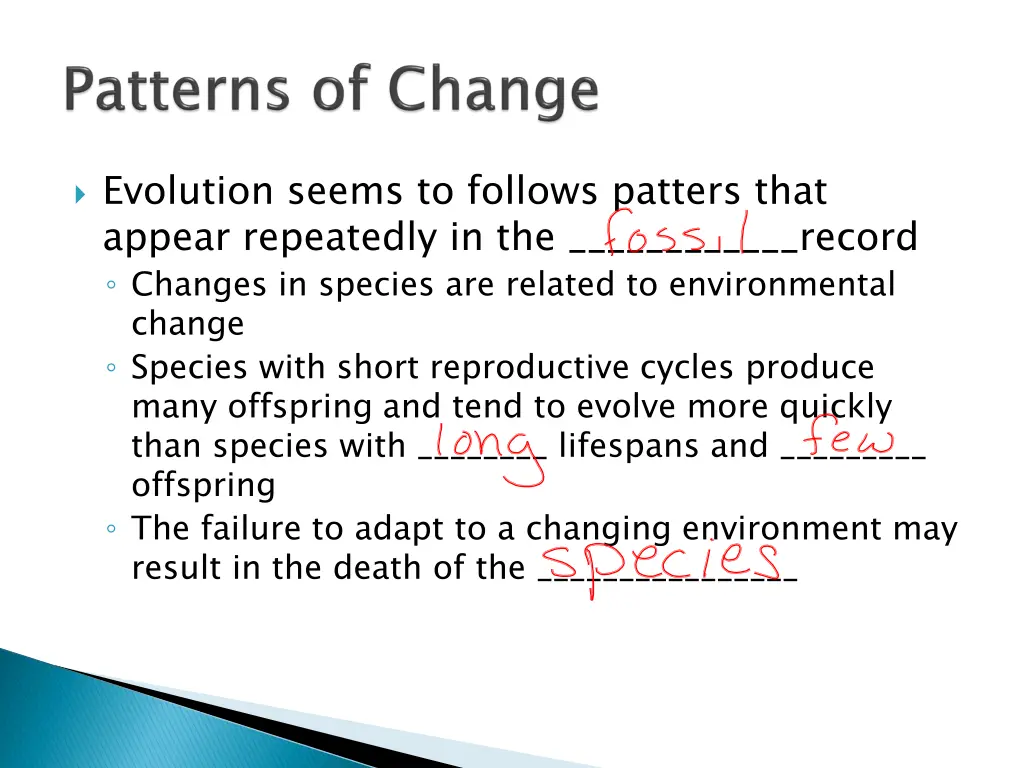 evolution seems to follows patters that appear