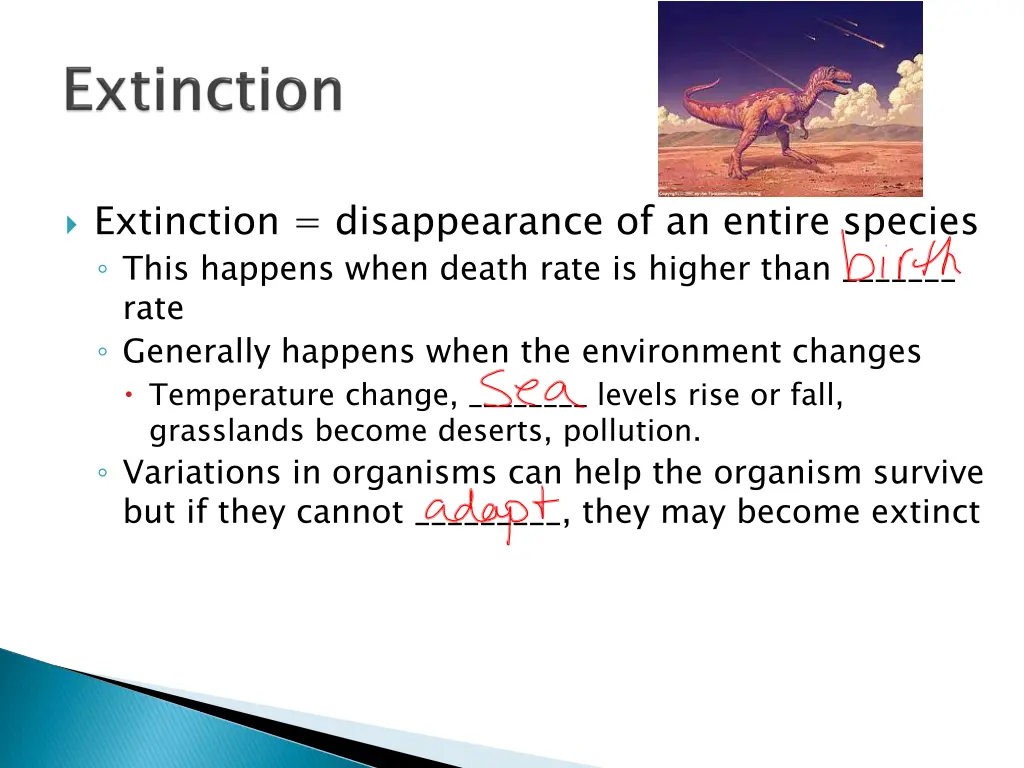 extinction disappearance of an entire species