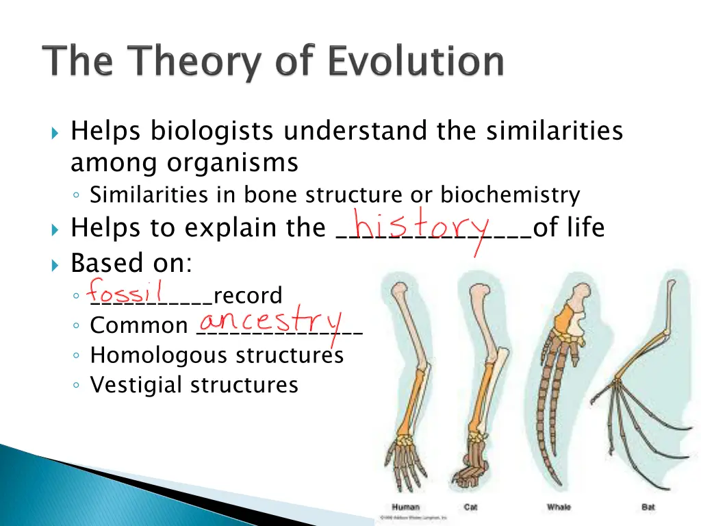 helps biologists understand the similarities
