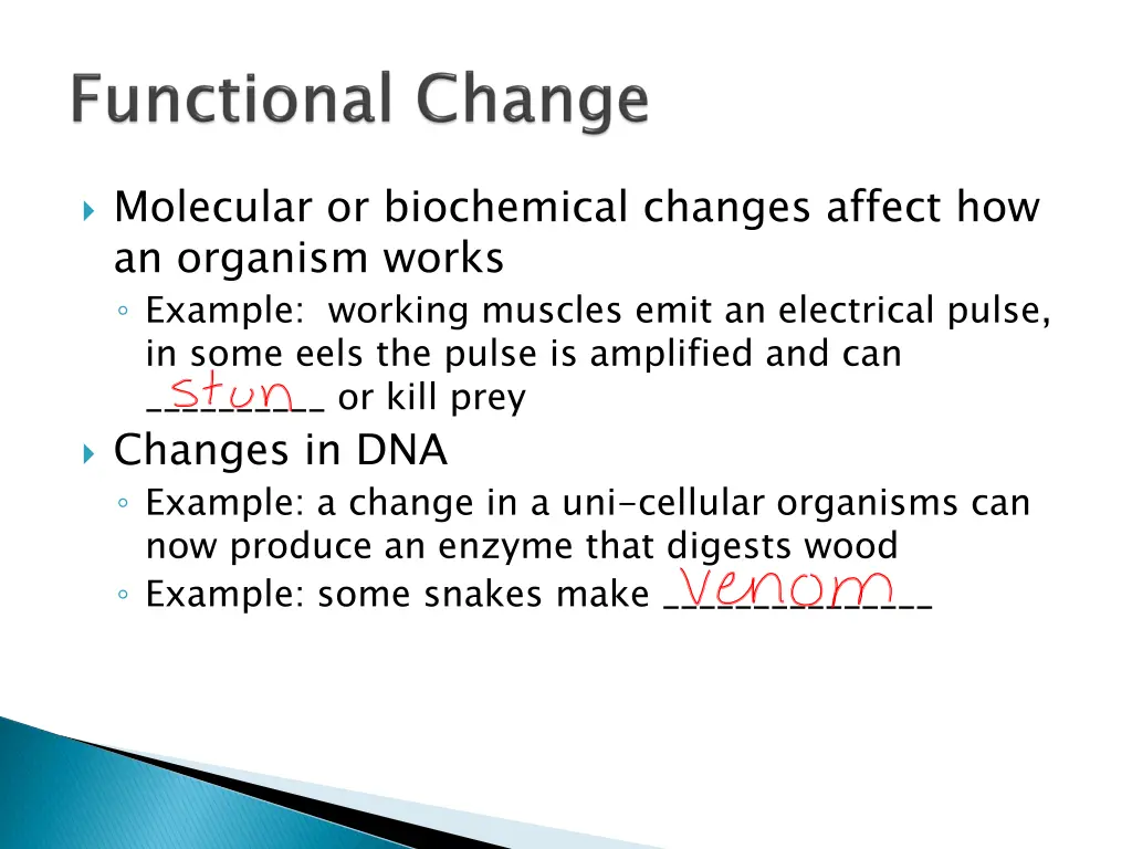 molecular or biochemical changes affect