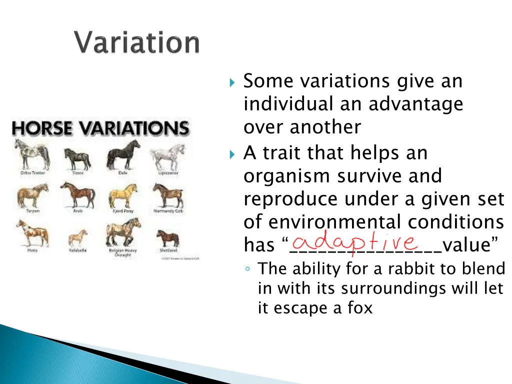 some variations give an individual an advantage
