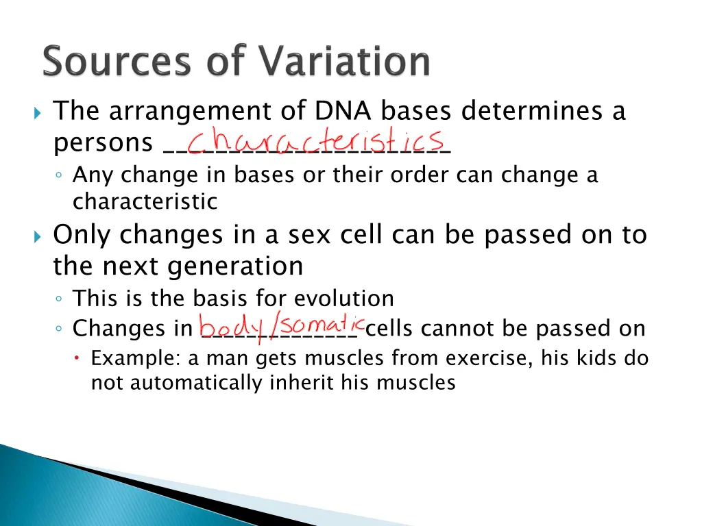the arrangement of dna bases determines a persons
