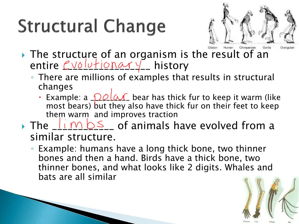the structure of an organism is the result