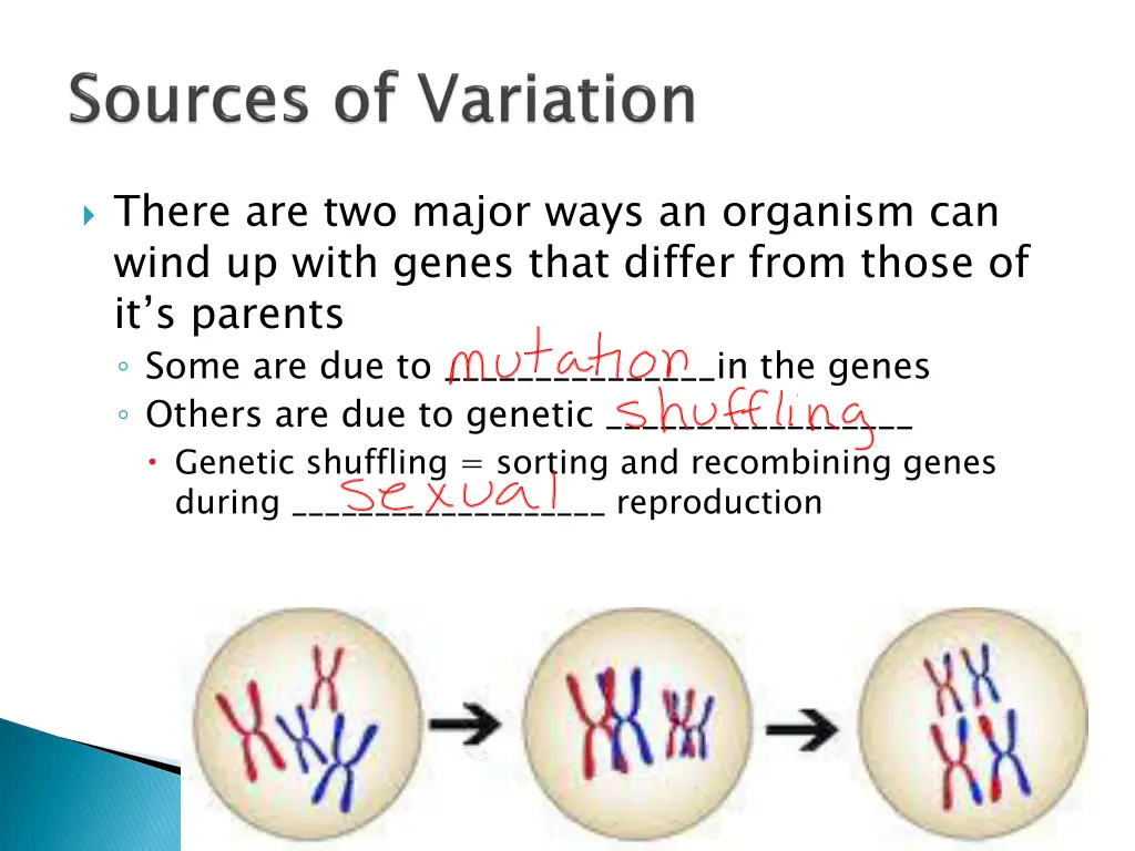 there are two major ways an organism can wind