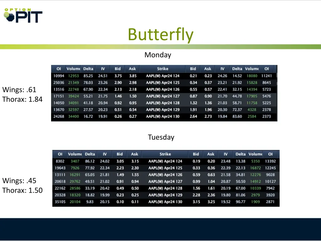 butterfly