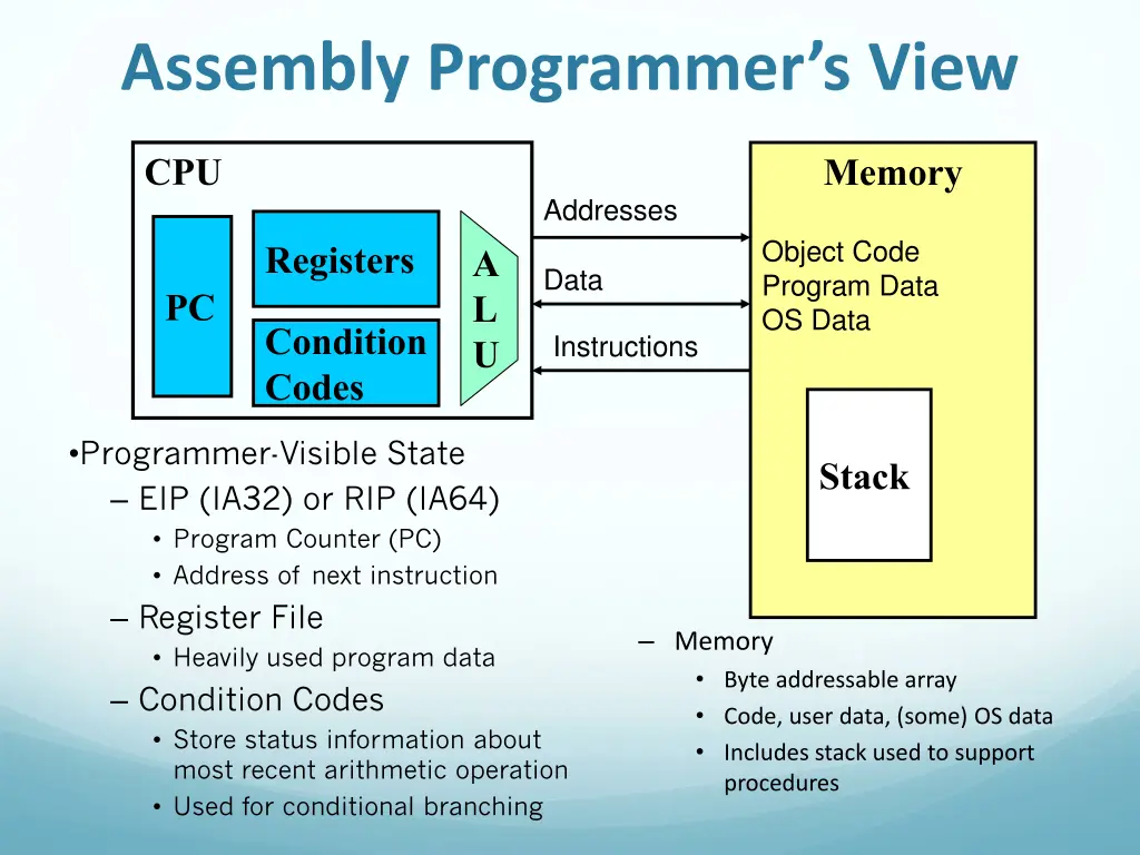 assembly programmer s view
