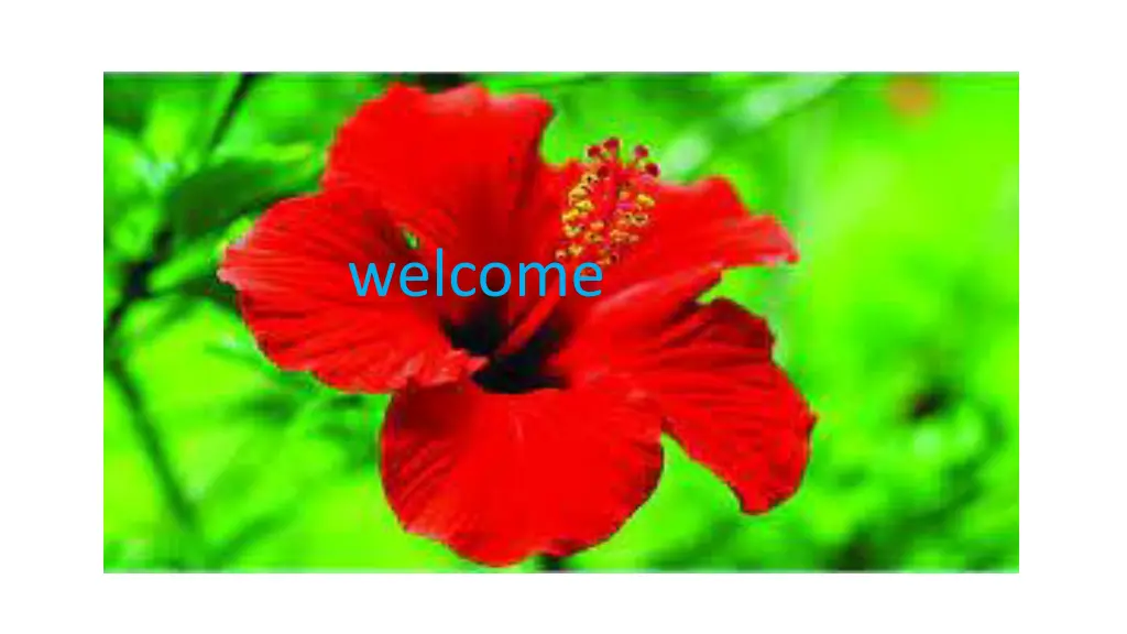 welcome
