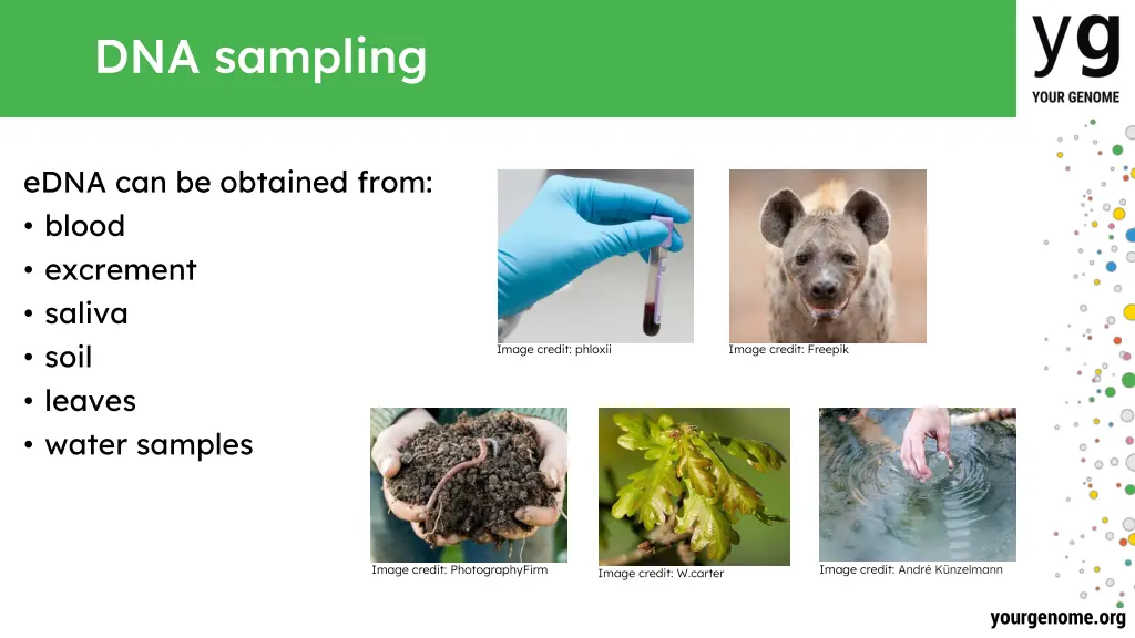 dna sampling