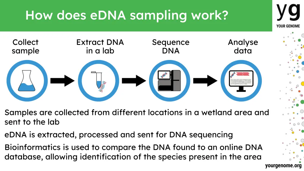 how does edna sampling work