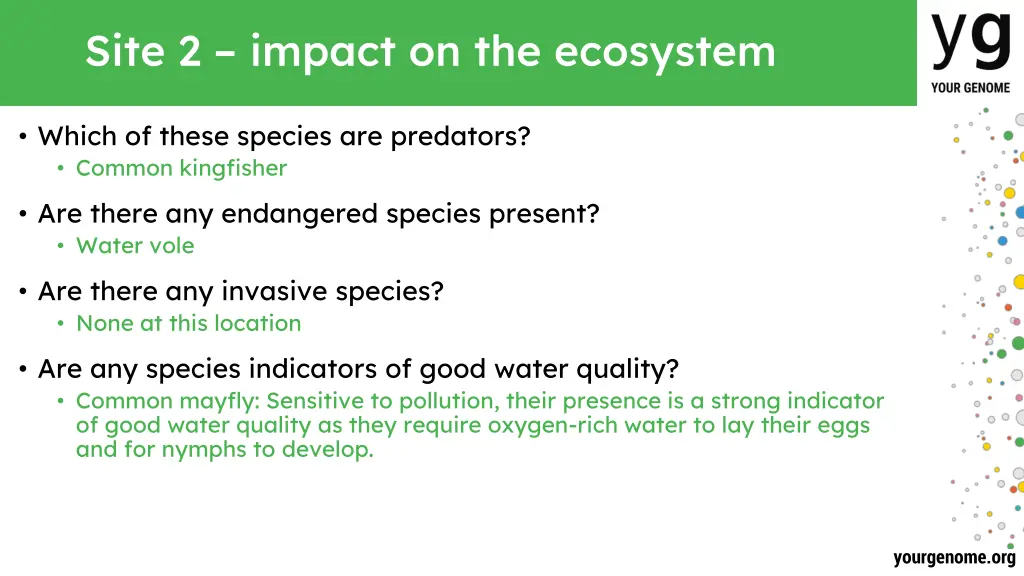 site 2 impact on the ecosystem