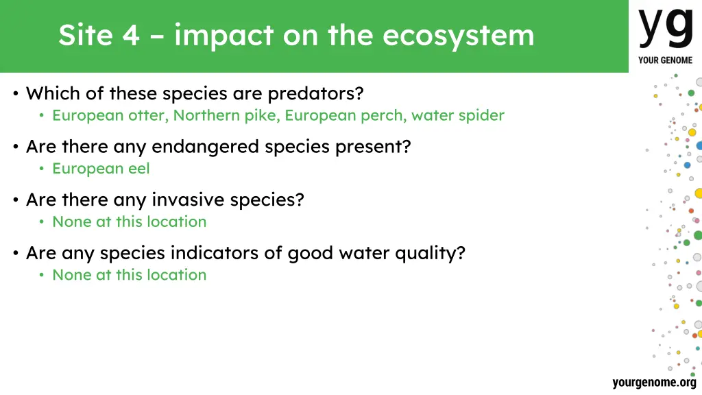 site 4 impact on the ecosystem