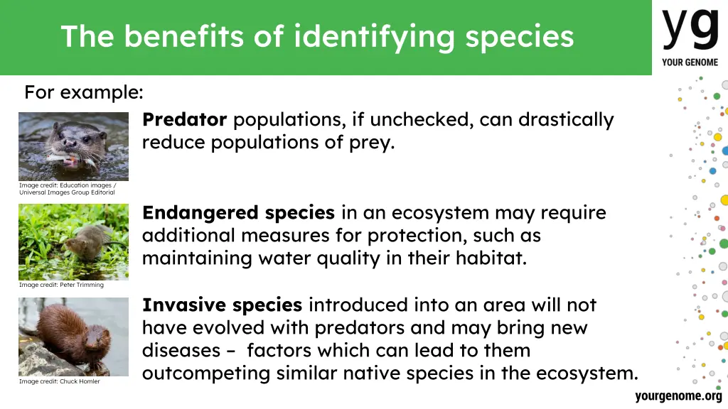 the benefits of identifying species 1