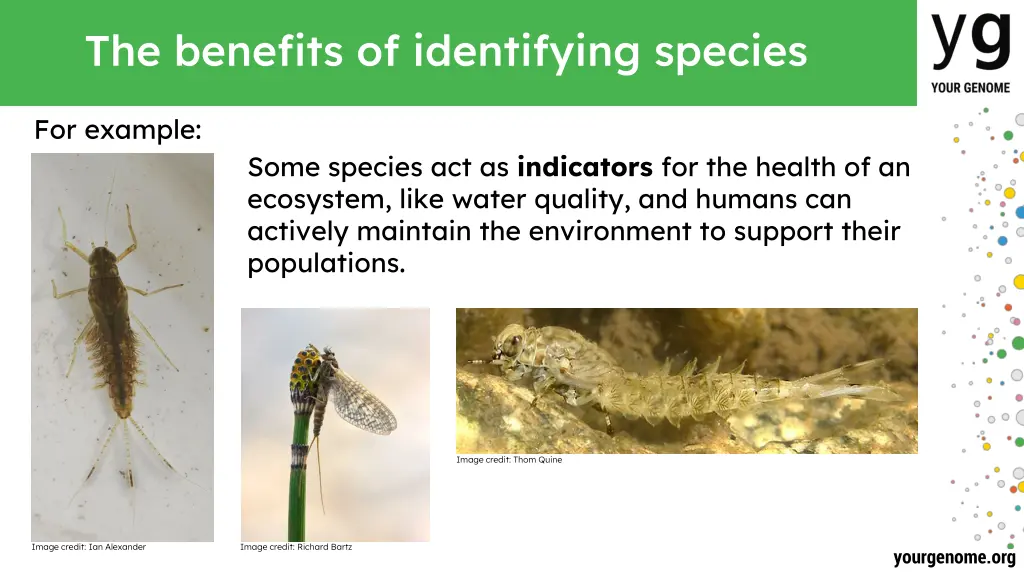 the benefits of identifying species 2