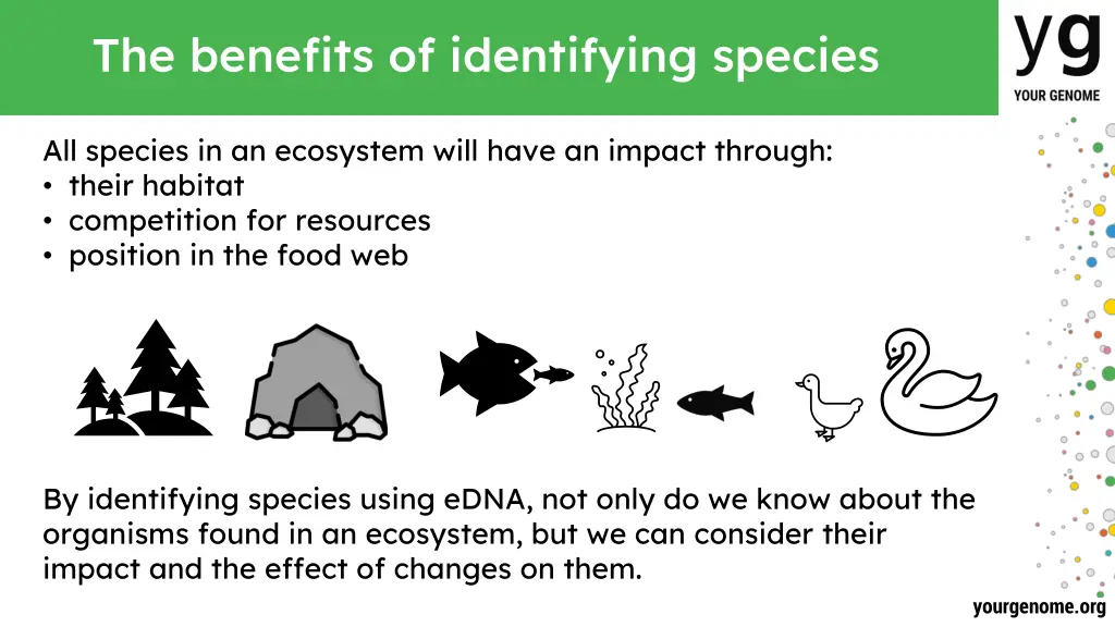 the benefits of identifying species