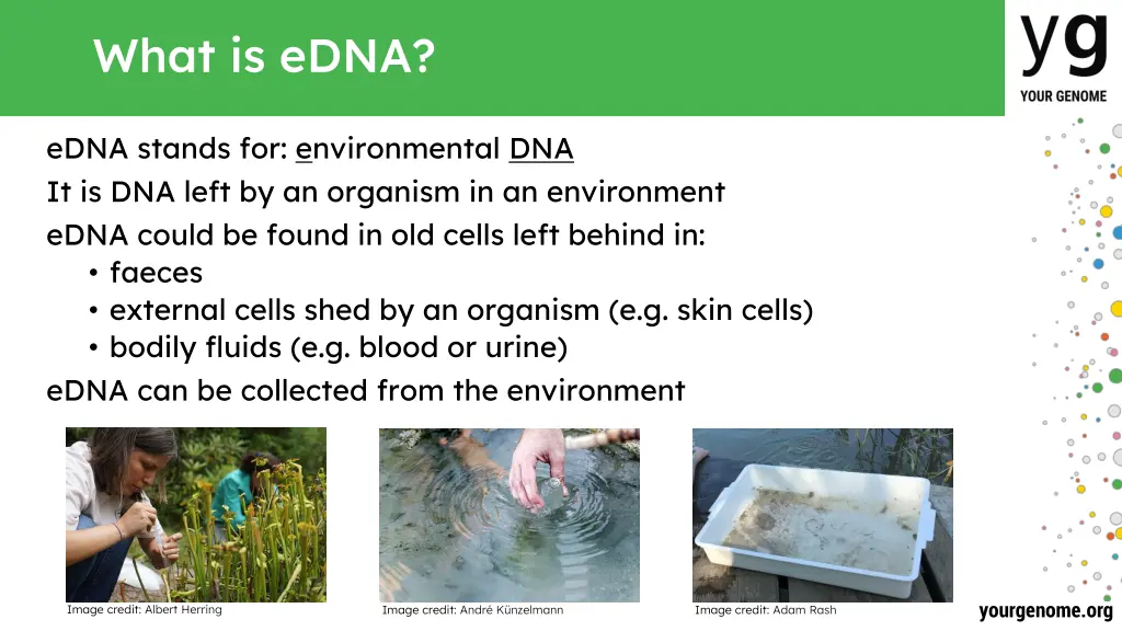 what is edna