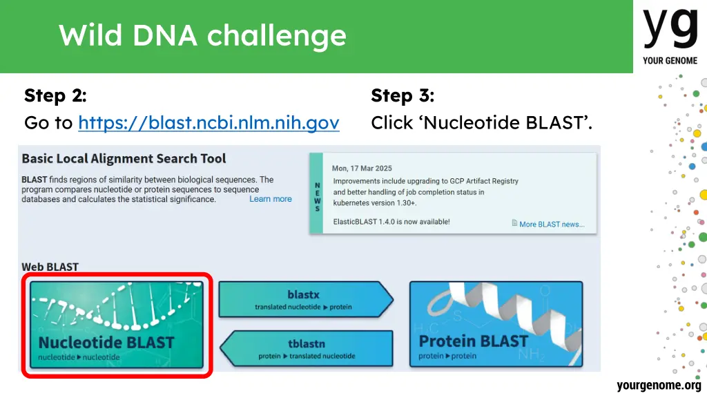 wild dna challenge 2