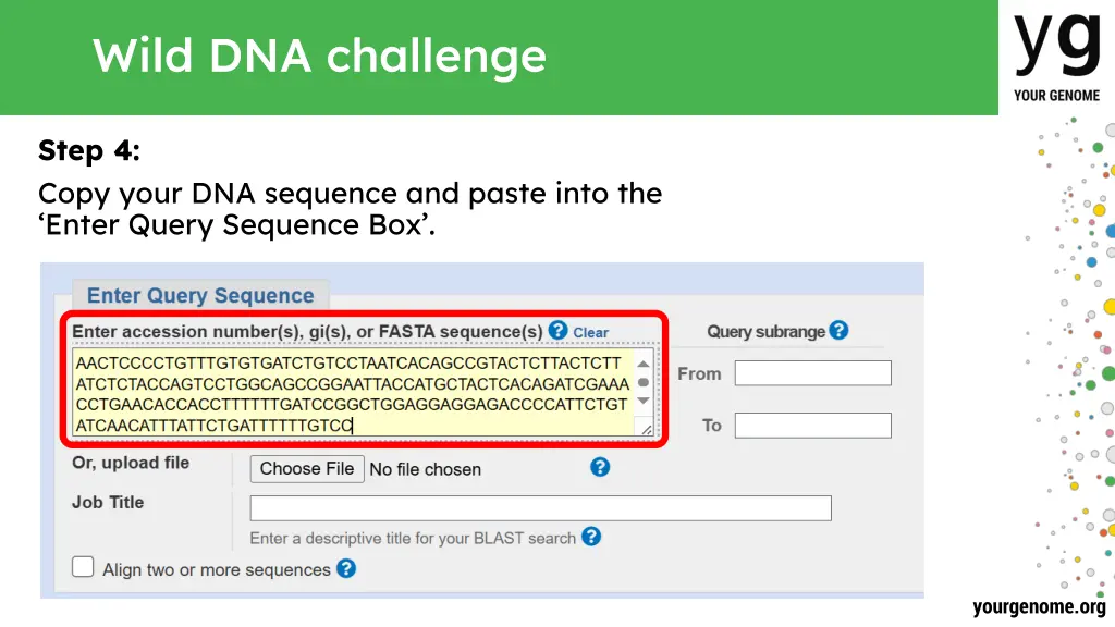 wild dna challenge 3