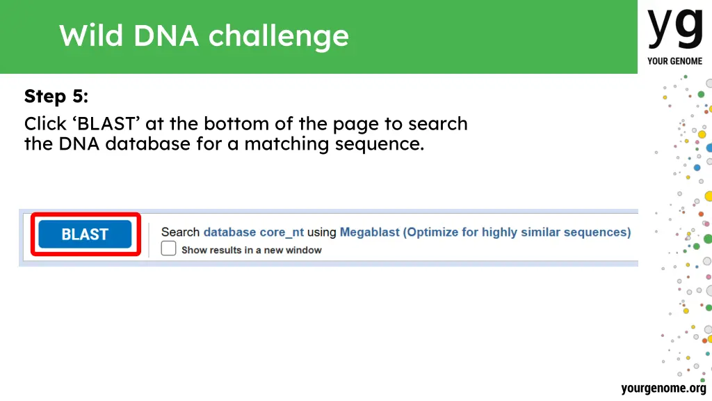 wild dna challenge 4