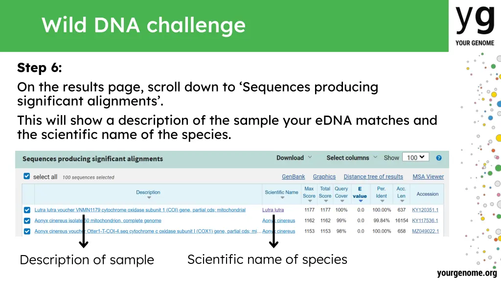 wild dna challenge 5