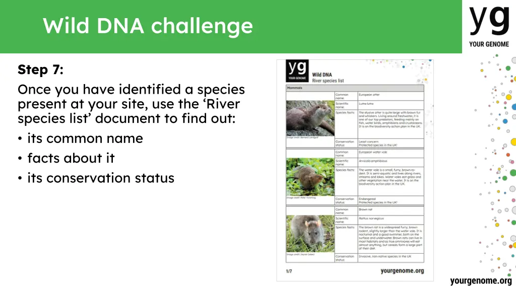 wild dna challenge 6
