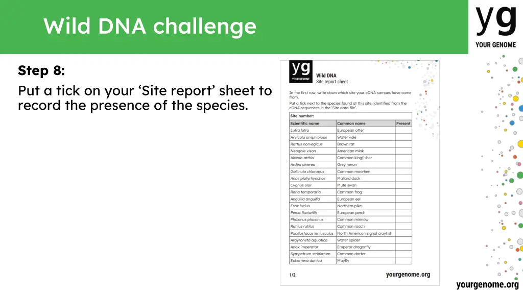 wild dna challenge 7