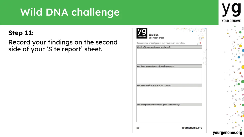 wild dna challenge 9