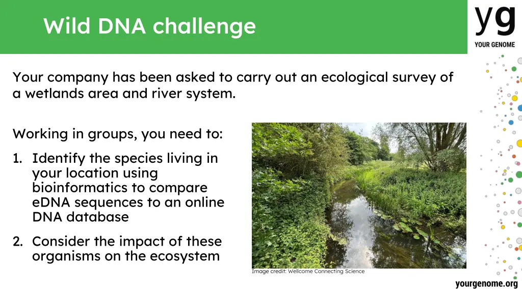 wild dna challenge