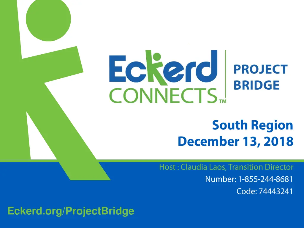 eckerd org projectbridge
