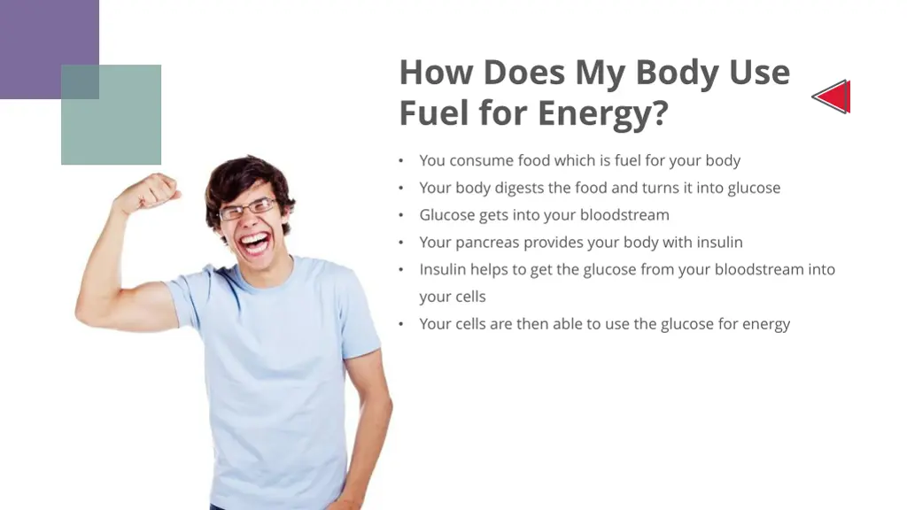 how does my body use fuel for energy
