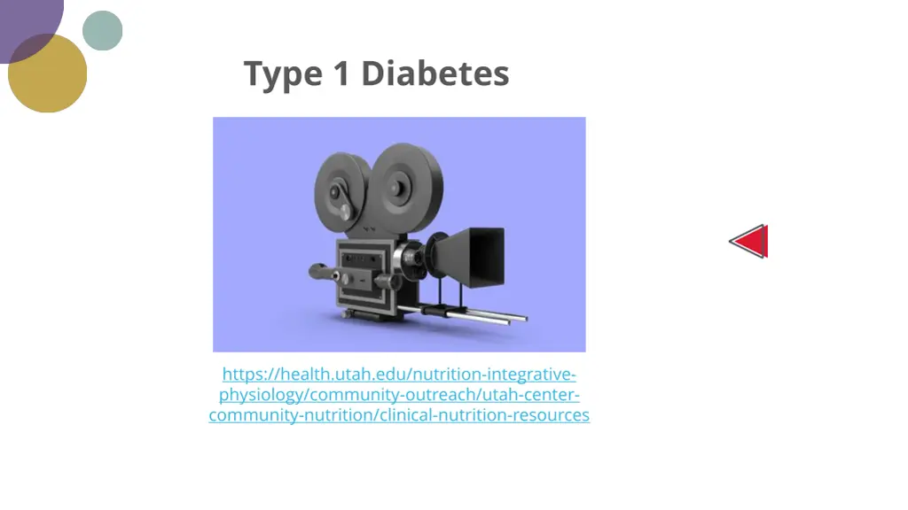 type 1 diabetes