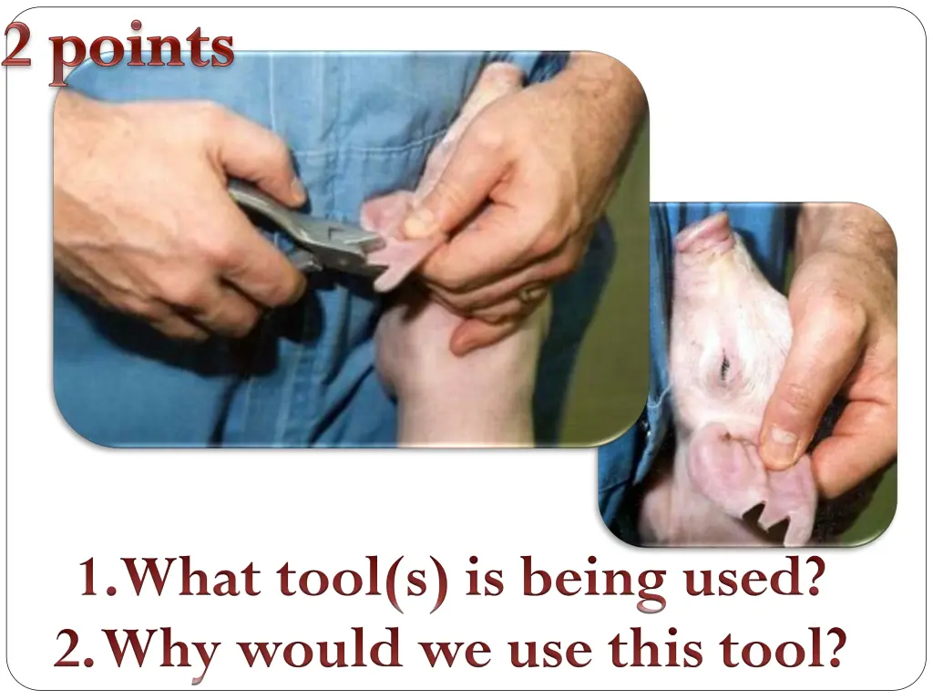 1 what tool s is being used 2 why would
