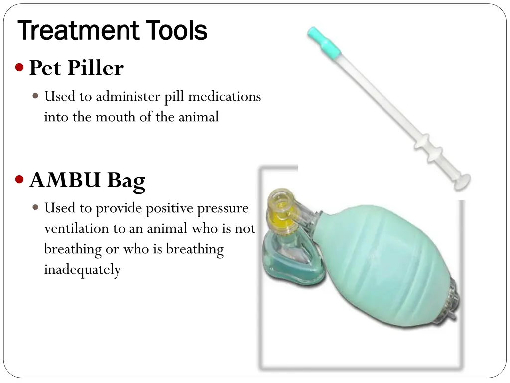 treatment tools treatment tools pet piller used