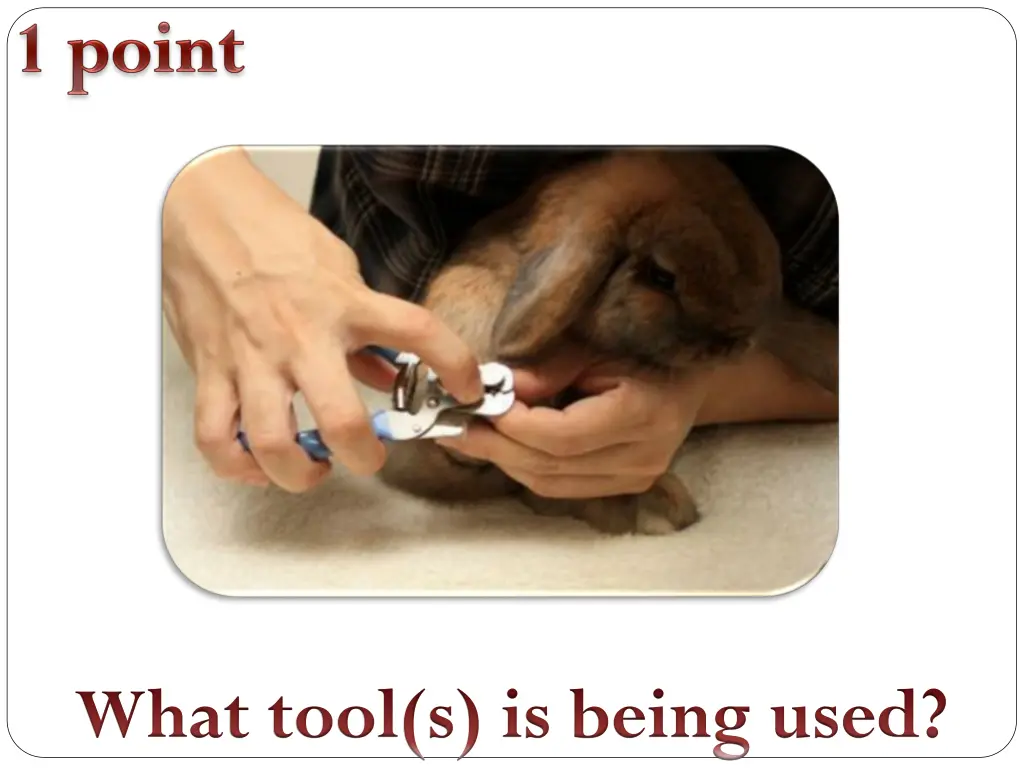 what tool s is being used 6